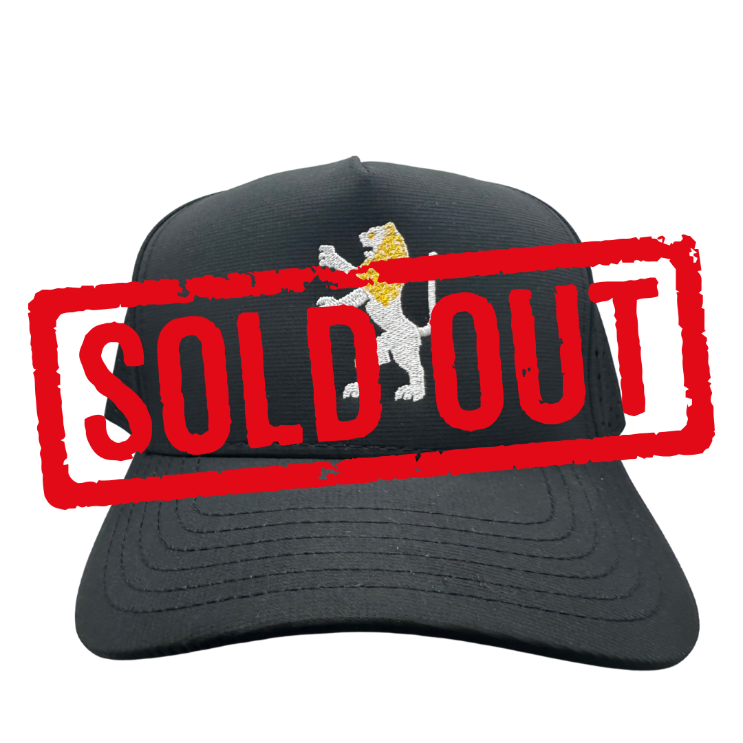 The Rising Lion Athletic Snapback — Jerusalem Jewish Pride Hat | Neighbs NYC