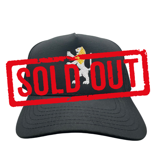 The Rising Lion Athletic Snapback — Jerusalem Jewish Pride Hat | Neighbs NYC